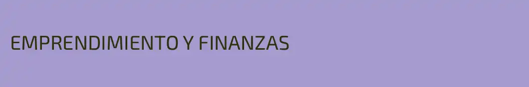 EMPRENDIMIENTO Y FINANZAS 